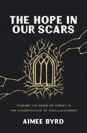 Cover of The Hope in Our Scars
