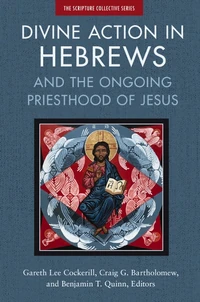 Cover of Divine Action in Hebrews