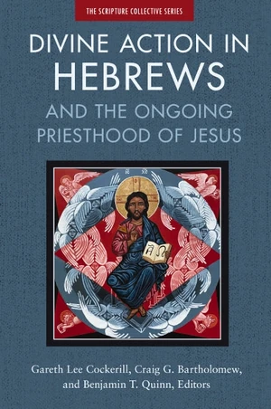 Cover of Divine Action in Hebrews