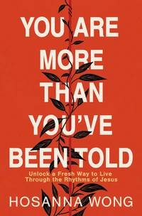 Cover of You Are More Than You've Been Told