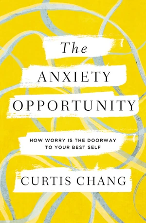 Cover of The Anxiety Opportunity