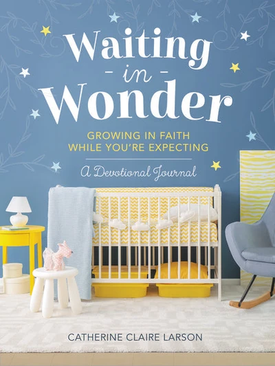Cover of Waiting in Wonder