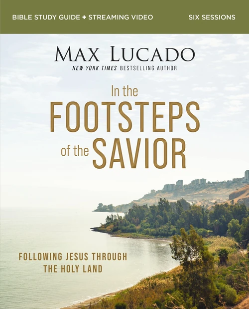 Cover of In the Footsteps of the Savior Bible Study Guide plus Streaming Video