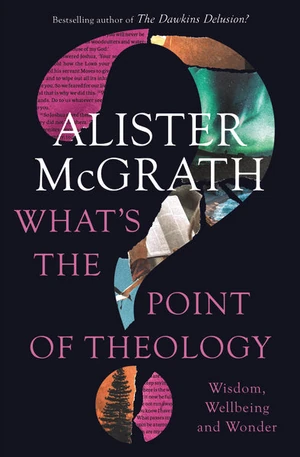 Cover of What's the Point of Theology?