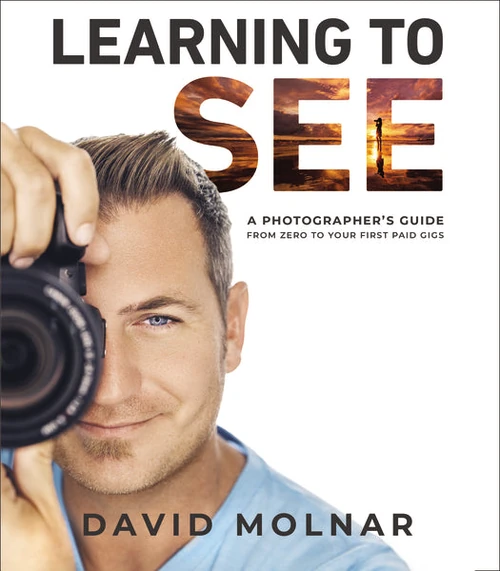 Cover of Learning to See