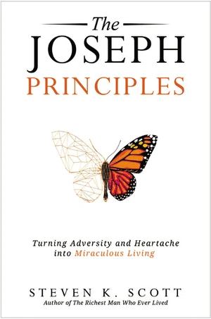 Cover of The Joseph Principles