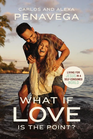Cover of What If Love Is the Point?