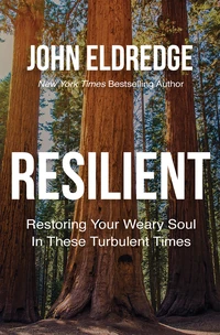 Cover of Resilient