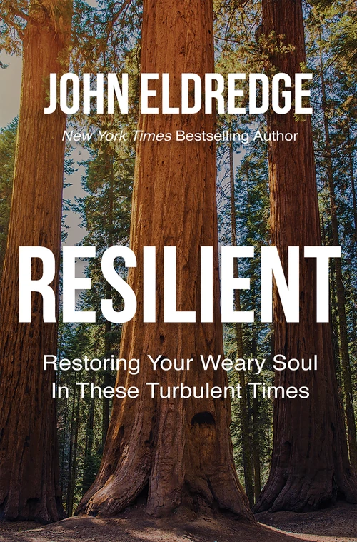 Cover of Resilient