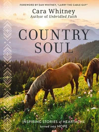 Cover of Country Soul