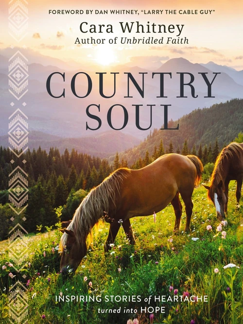 Cover of Country Soul
