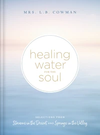 Cover of Healing Water for the Soul