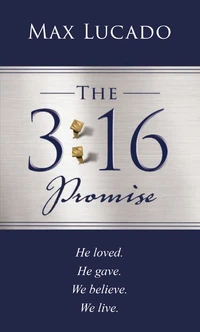 Cover of The 3