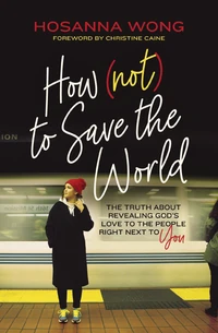 Cover of How (Not) to Save the World