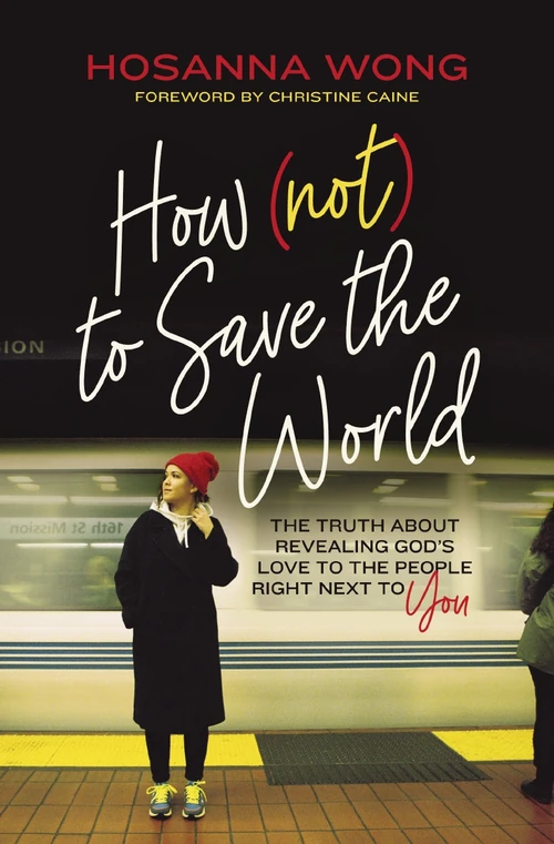 Cover of How (Not) to Save the World