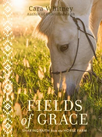 Cover of Fields of Grace