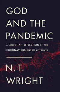 Cover of God and the Pandemic