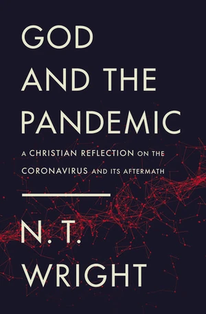 Cover of God and the Pandemic