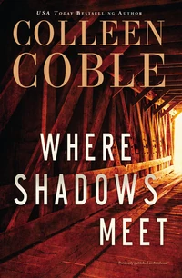 Cover of Where Shadows Meet