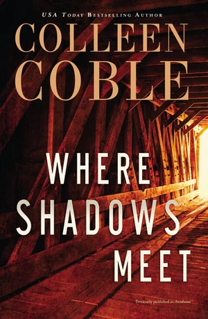 Cover of Where Shadows Meet