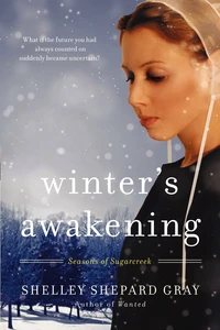 Cover of Winter's Awakening