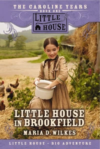Cover of Little House in Brookfield