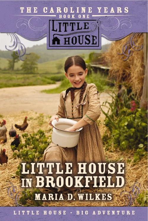 Cover of Little House in Brookfield