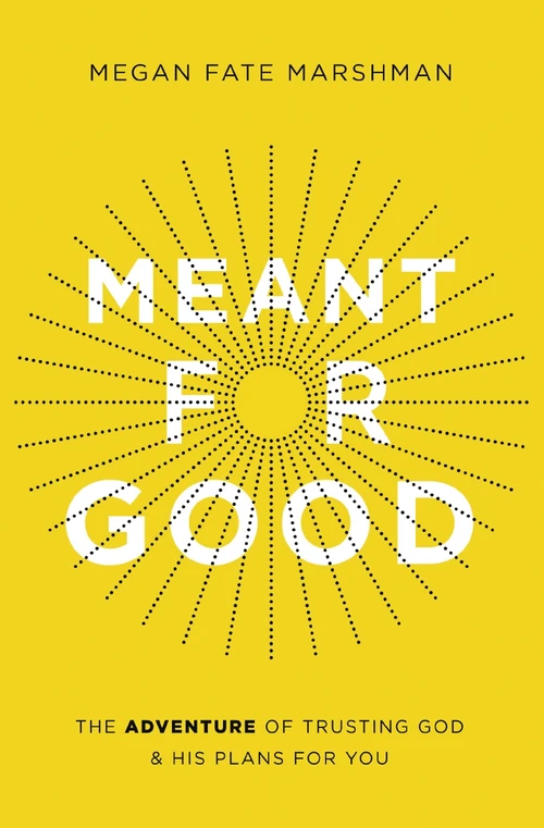 Cover of Meant for Good