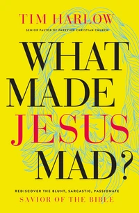 Cover of What Made Jesus Mad?