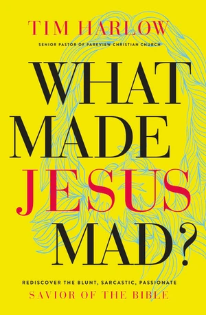 Cover of What Made Jesus Mad?