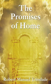 Cover of The Promises of Home
