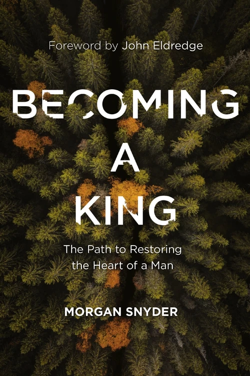 Cover of Becoming a King