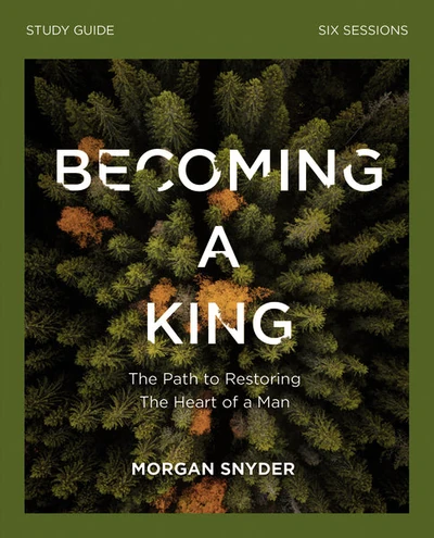 Cover of Becoming a King Study Guide