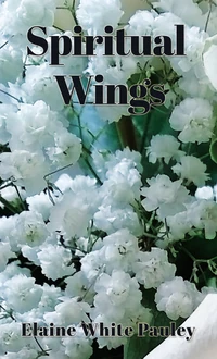Cover of Spiritual Wings