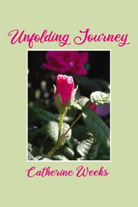 Cover of Unfolding Journey