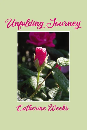 Cover of Unfolding Journey