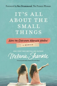 Cover of It's All About the Small Things
