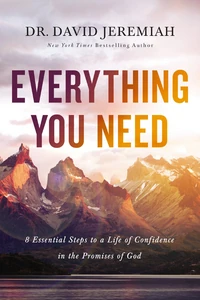 Cover of Everything You Need