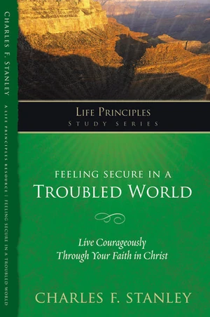 Cover of Feeling Secure in a Troubled World