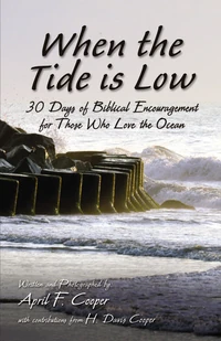 Cover of When the Tide is Low