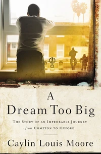 Cover of A Dream Too Big