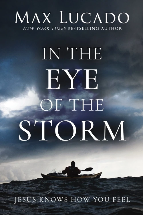 Cover of In the Eye of the Storm