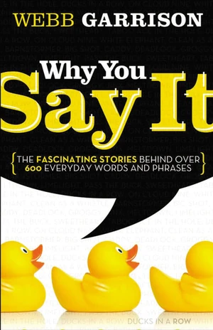 Cover of Why You Say It