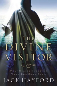 Cover of Divine Visitor
