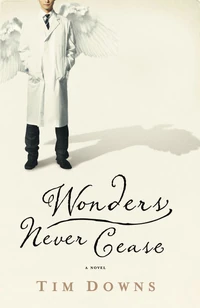 Cover of Wonders Never Cease