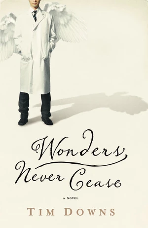 Cover of Wonders Never Cease