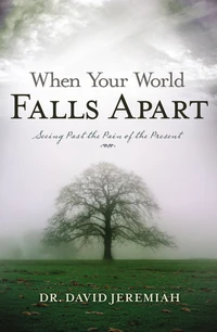Cover of When Your World Falls Apart