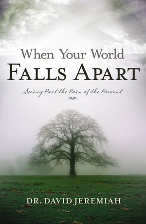 Cover of When Your World Falls Apart