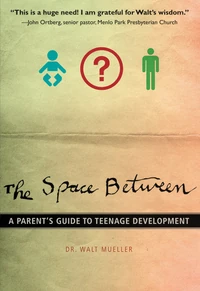 Cover of The Space Between
