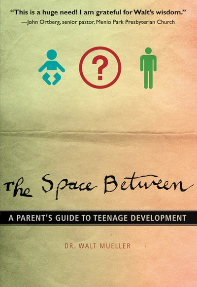 Cover of The Space Between